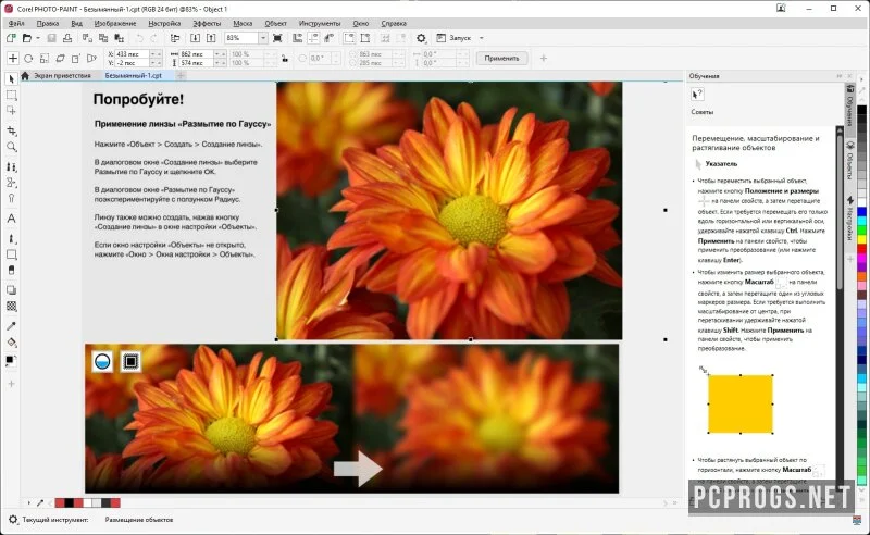 CorelDRAW Graphics Suite — изображение 4