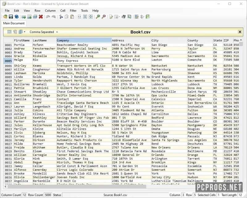 Rons Data Edit — изображение 1
