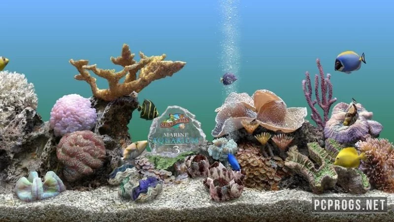 Marine Aquarium — изображение 1
