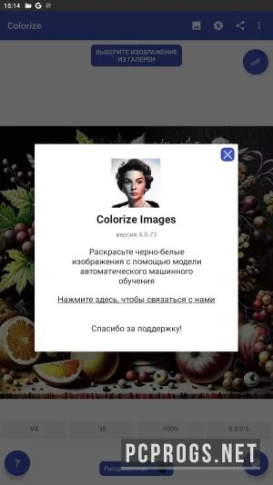 Colorize Images — изображение 4