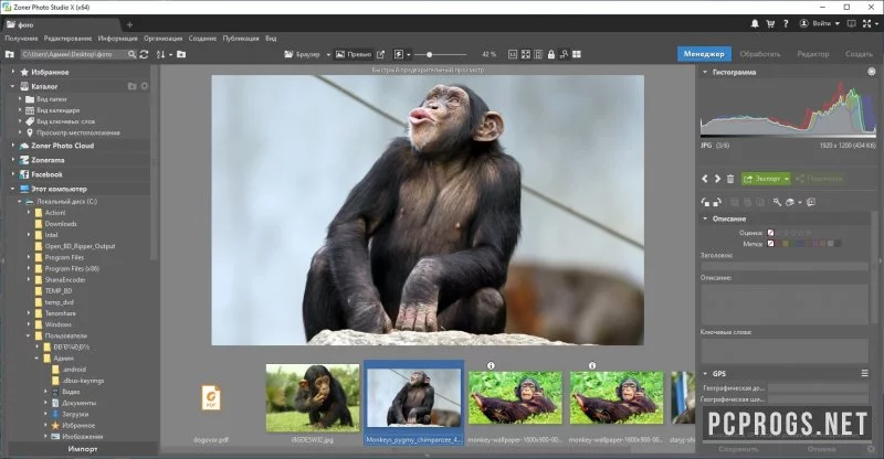 Zoner Photo Studio — изображение 2