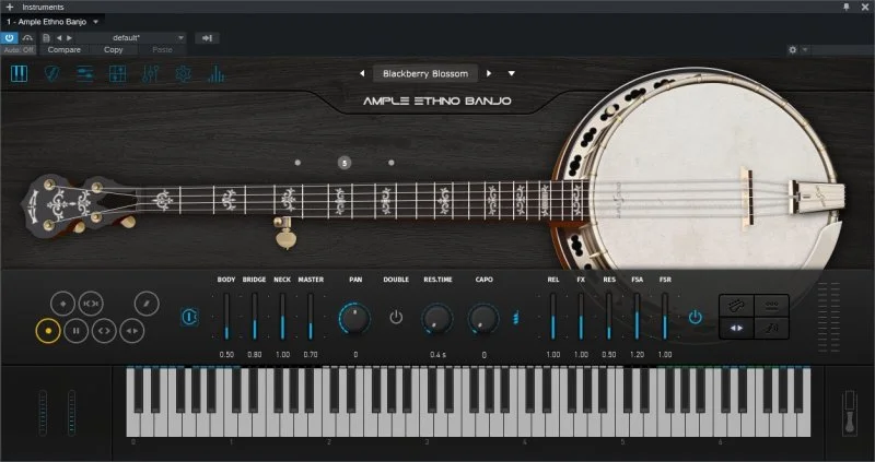 Ample Ethno Banjo — изображение 1