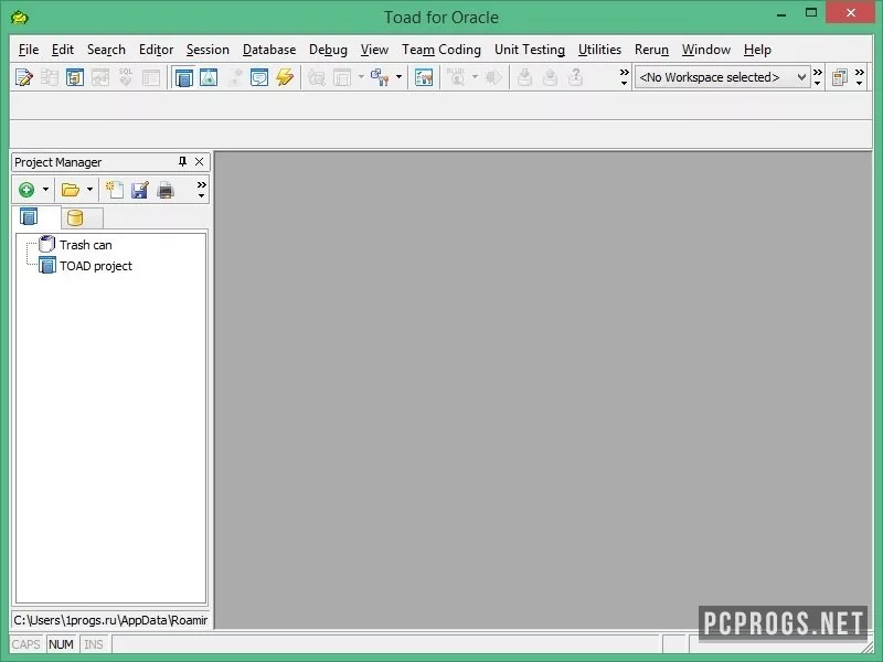 Toad for Oracle — изображение 1
